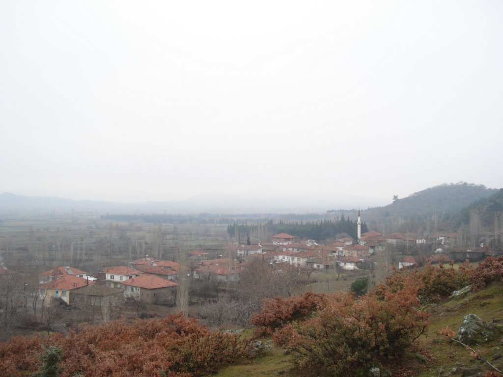 10330 Kızılgür/Sındırgı/Balıkesir, Turkey by nihat çetin