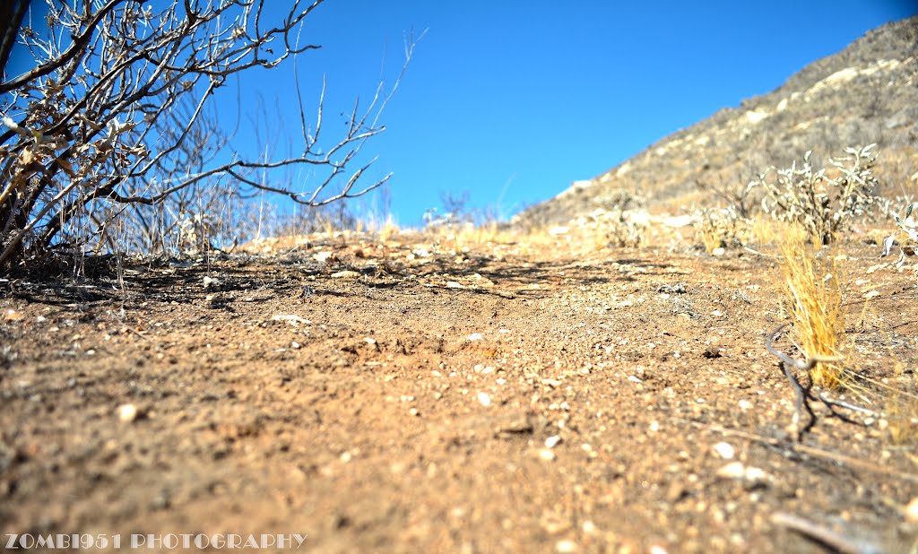 Slope by Jameson photography