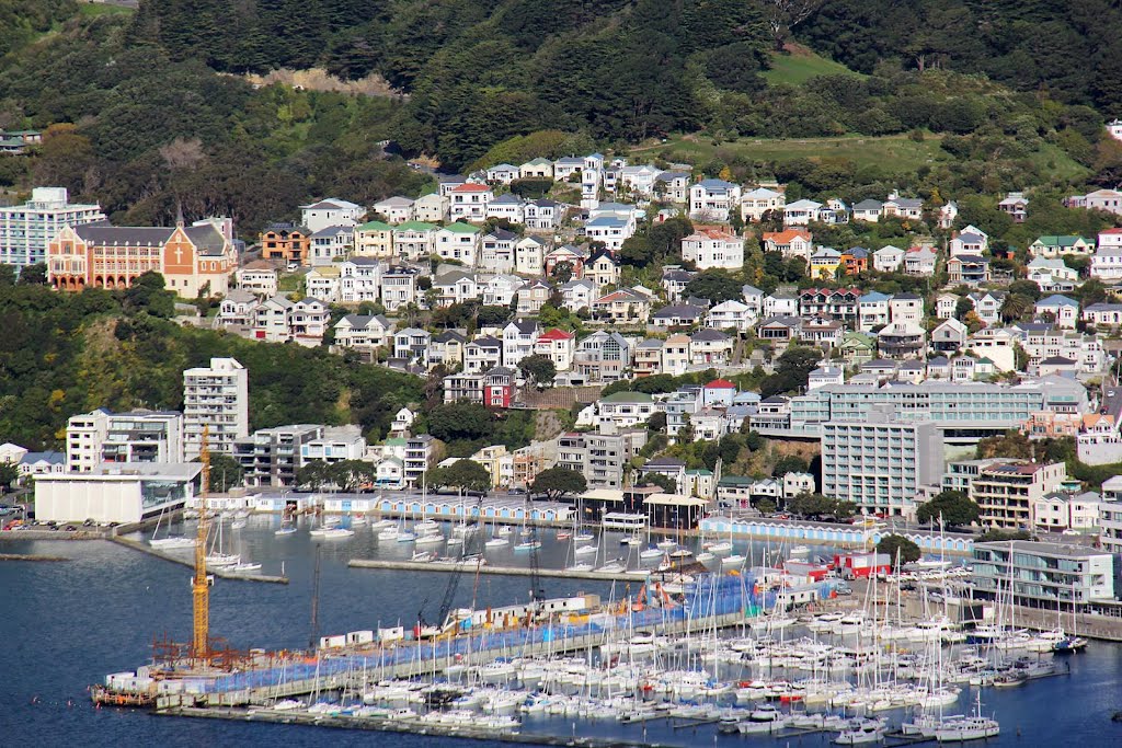 Mt Victoria viewed from Tinakori Hill by Fritz Schöne