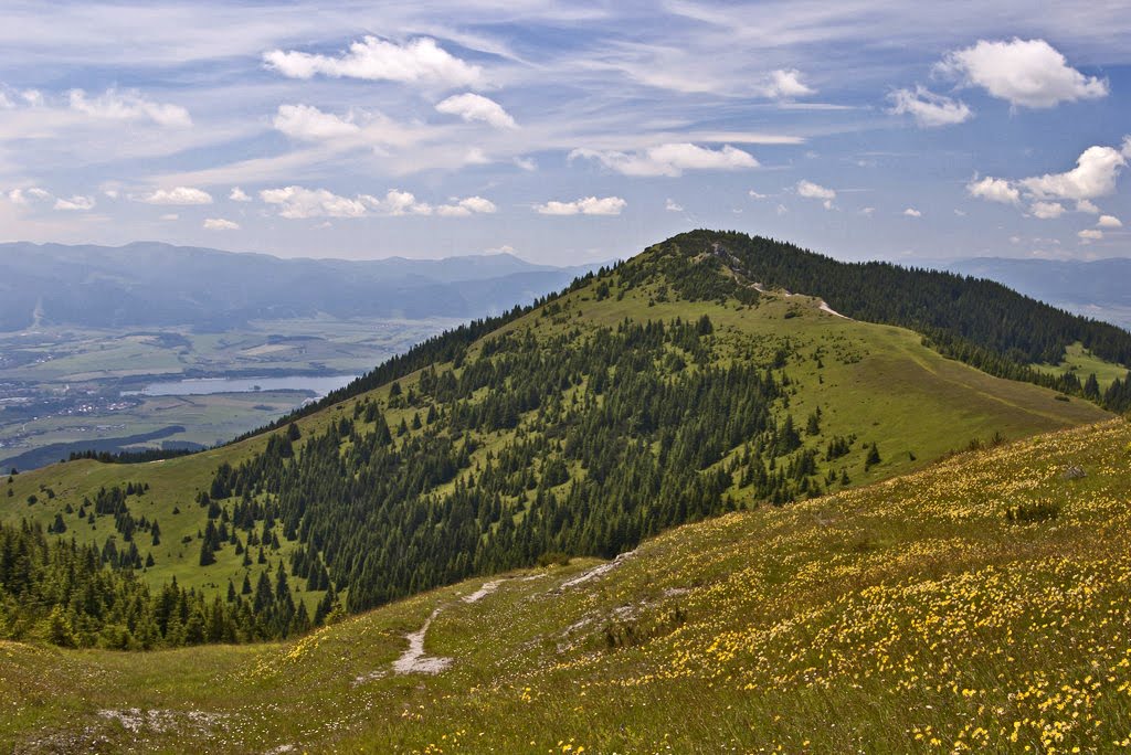 Babky 1566 m.n.m by Vladimír Vislocký