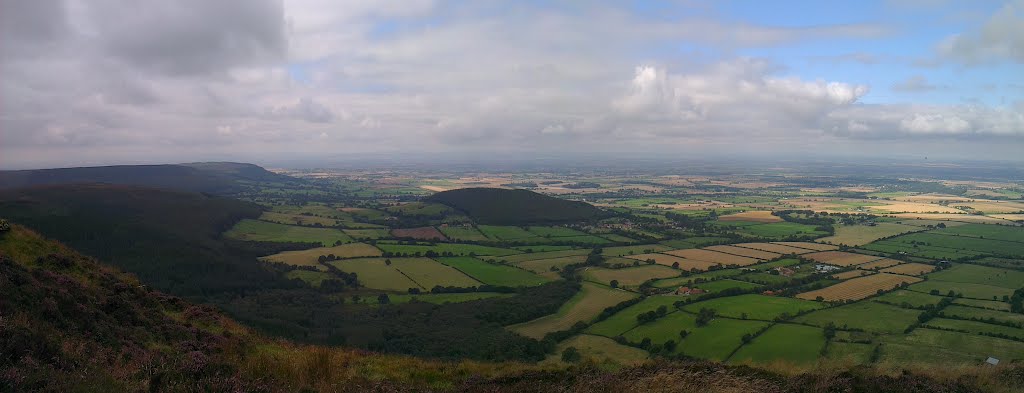 Whorl Hill by DHeaviside