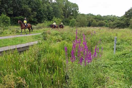 Horse Riders near Pond Dipping area at Clayton Vale Nature Reser by Wildlife Reporter