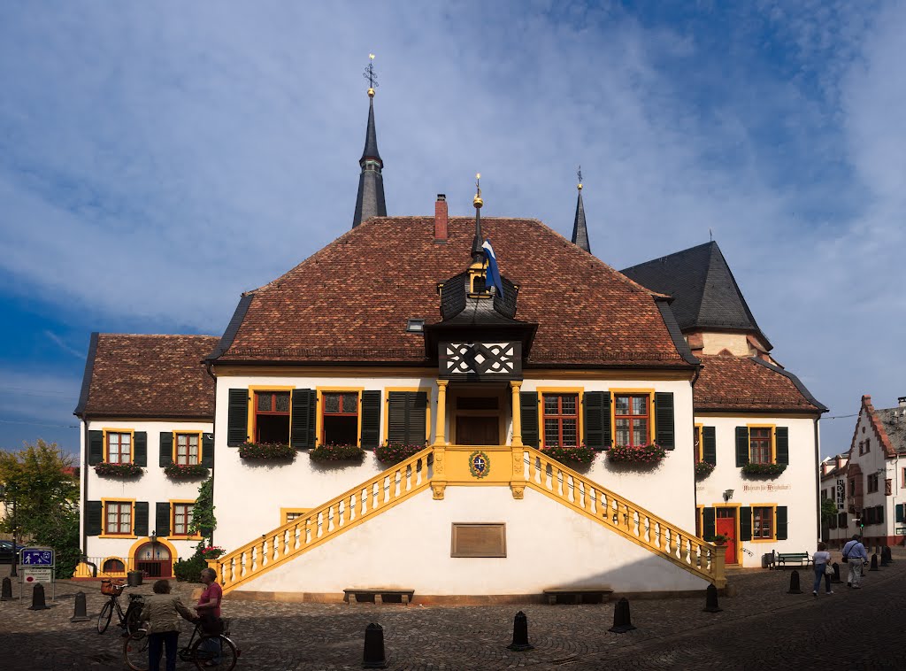 Altes Rathaus in Deidesheim... by Grzegorz Przech