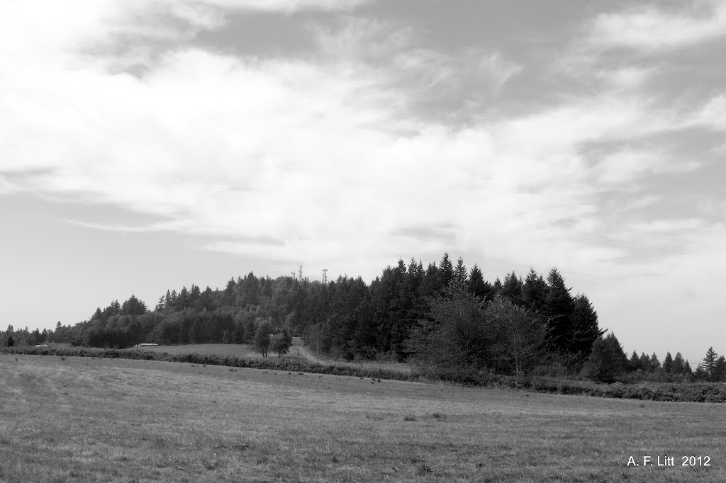 Biddle Butte (Mt. Zion). Skamania Co., Washington. September 13, 2012. by A. F. Litt