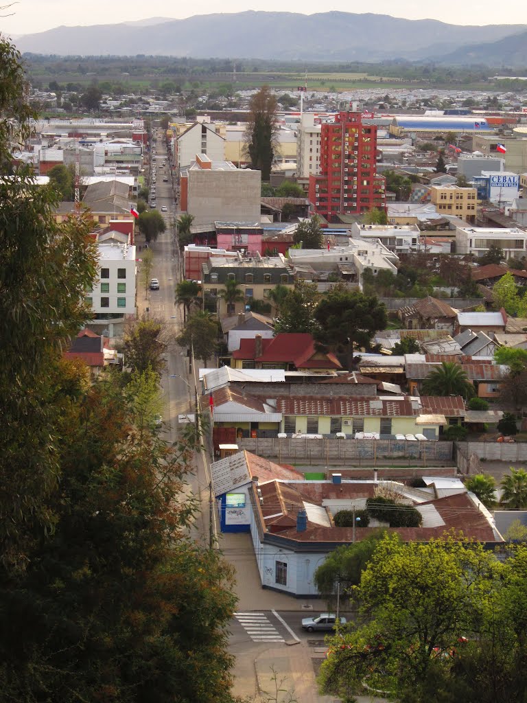 Curico the best wine capital of the world by Curico Chile