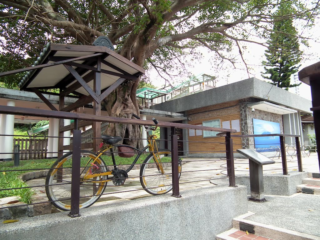 Waiao Railway Station 外澳車站 by deekew