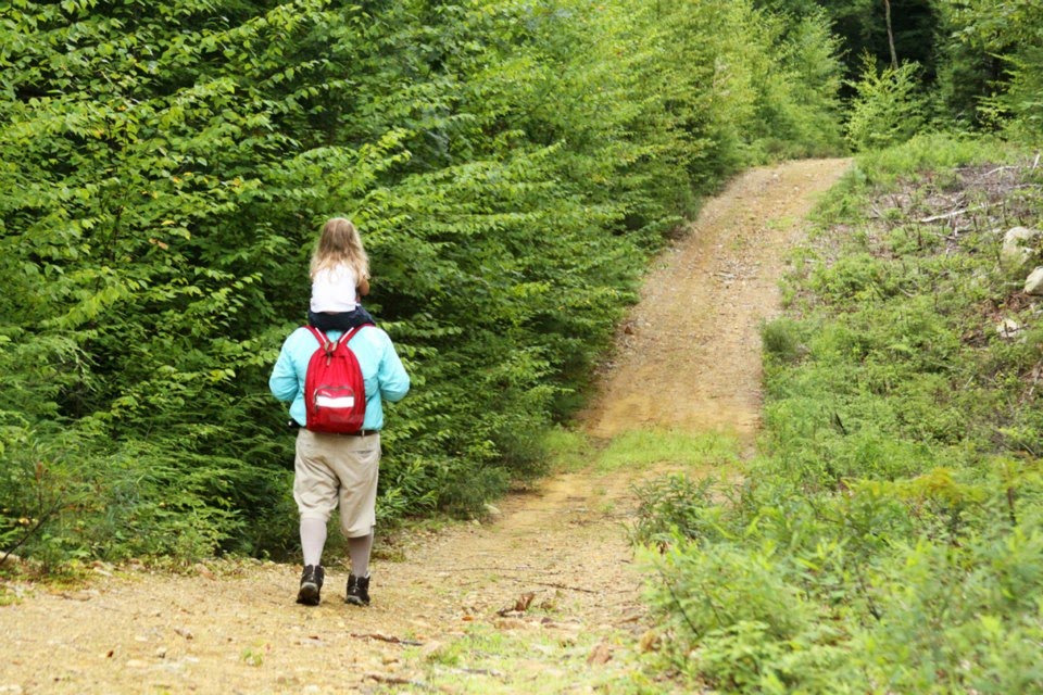 Snomobile Trail, Isinglass River Conservation Reserve by Bear-Pawphotos