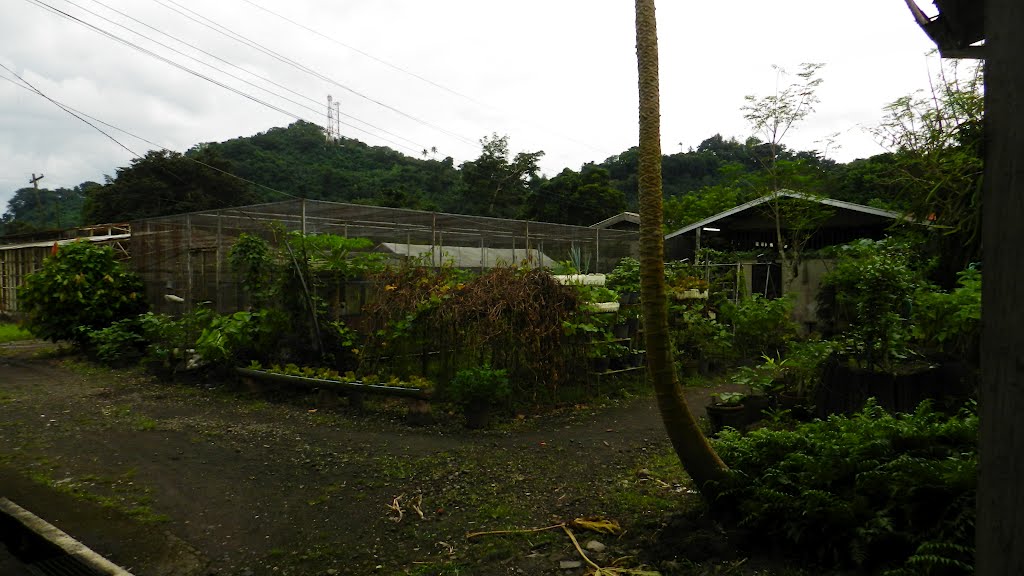 University of the Philippines Los Baños Agronomy Soils Horticulture Building on September 20, 2012 by Unknownquinones