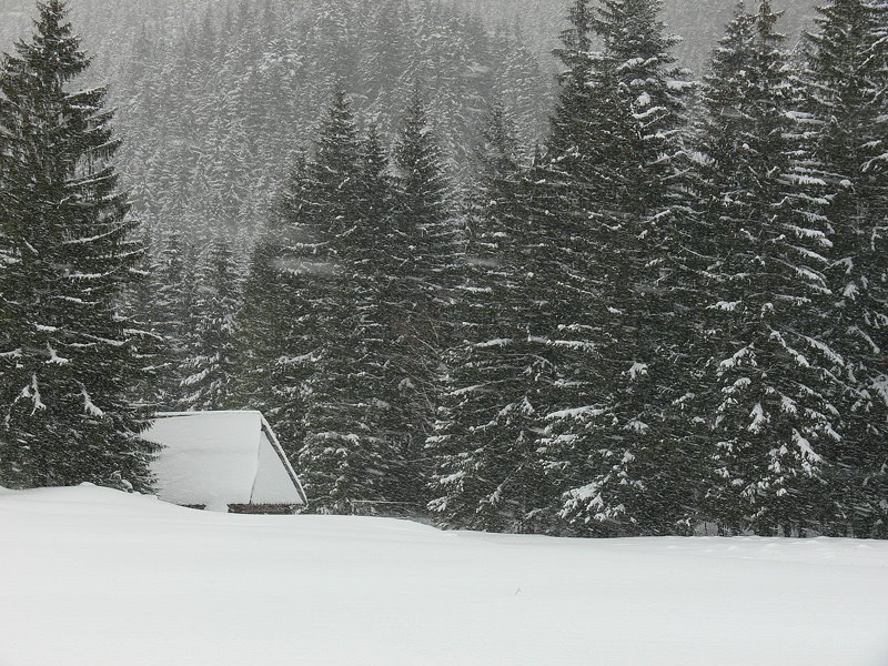 Gmina Kościelisko, Poland by Jacek M.