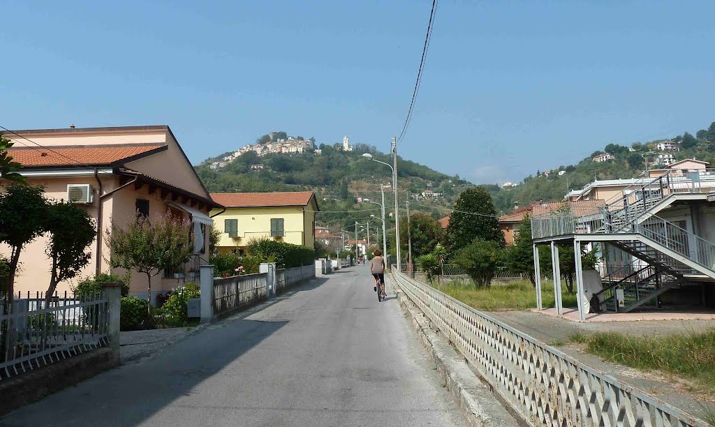 Sul colle Trebiano by Giovanni Parenti