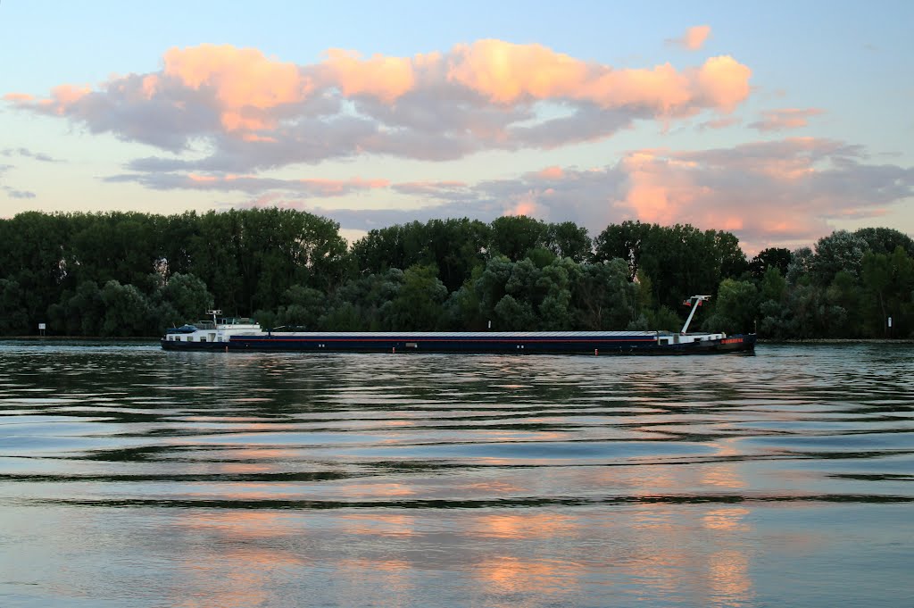 Abend am Rhein bei Hattenheim by Thomas Ahlmeyer