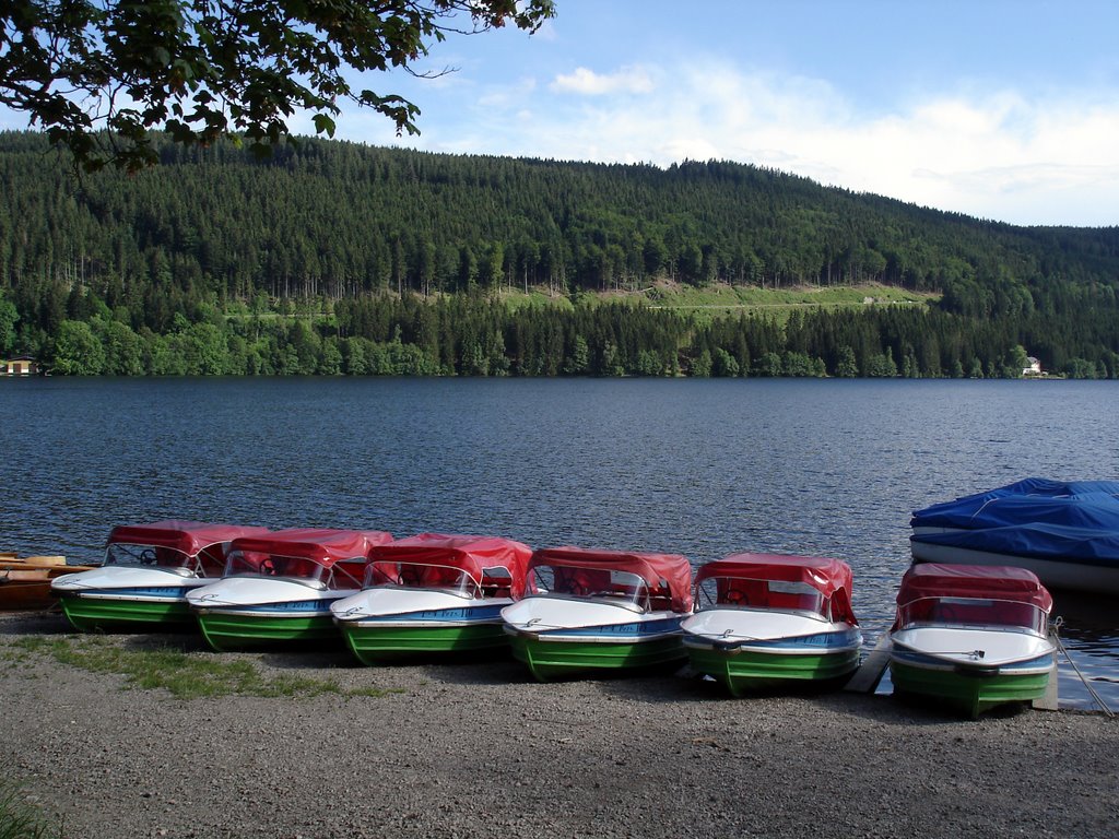 Bootsanlegestelle am Titisee by Vheissu