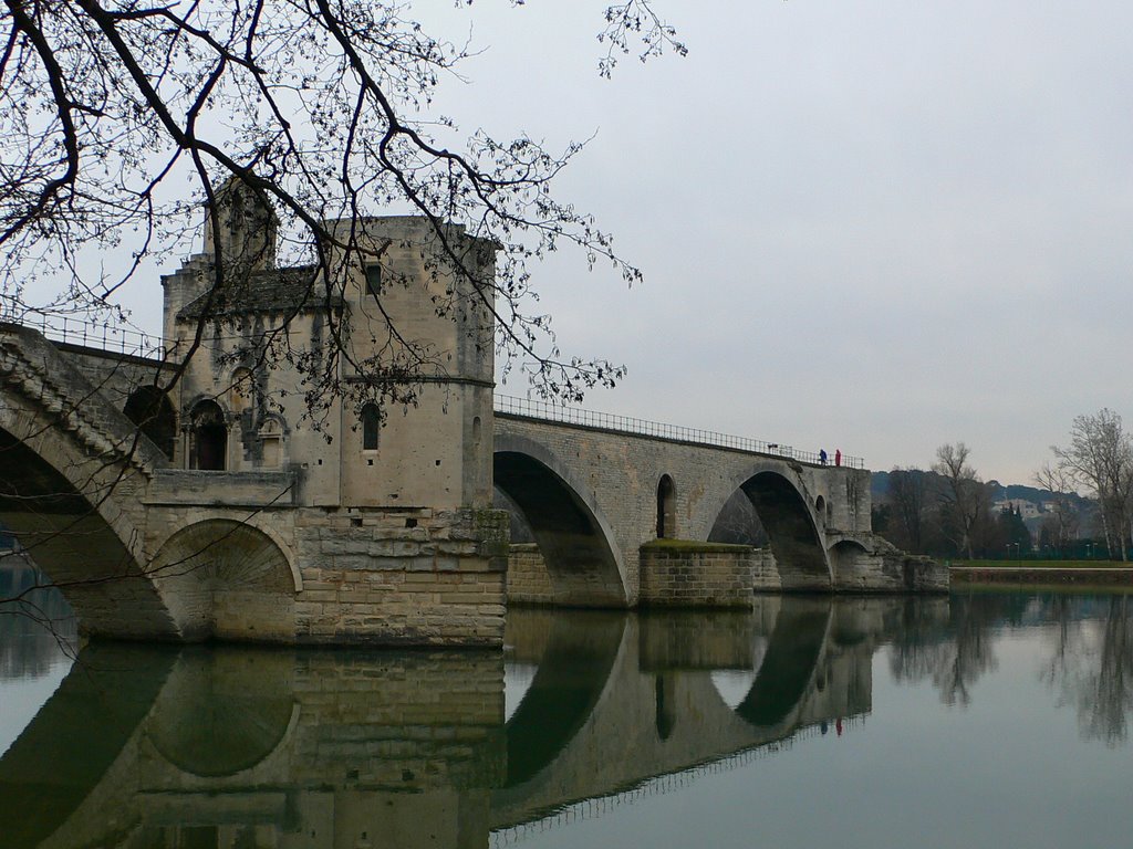 Pont d'AVIGNON by Bruno Pacciarelli