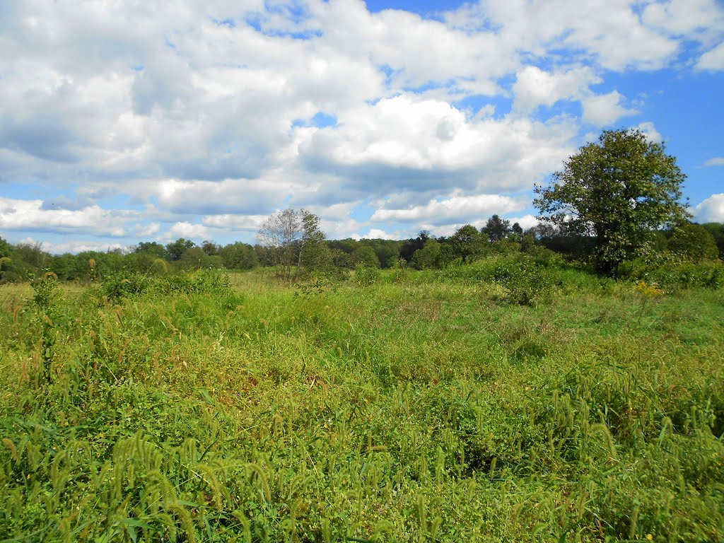 Fox Meadow Loop, Rachel Carson Conservation Park‎, 22201 Zion Rd Olney, MD 20833 by Midnight Rider