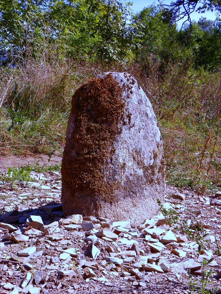 MURAT/VEBRE - Montégut, menhir. by Jean THIERS