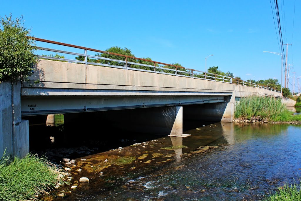 Romeo Road Des Plaines River Bridges by Mike Stropkovic Jr