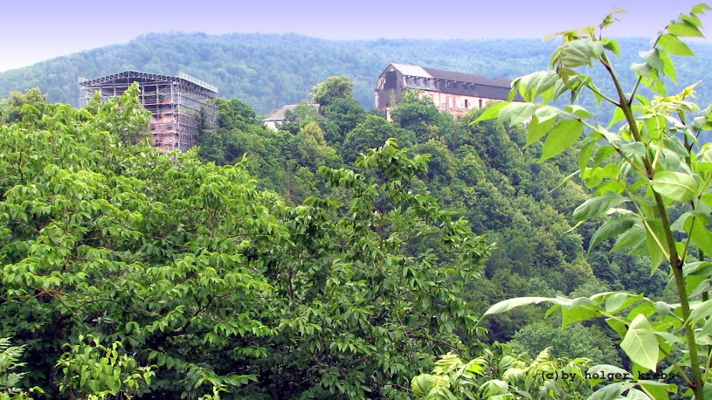 Eingekuschelt im Grünen: Schloßruine Schwarzburg - 6/2008 by Holger Krebs