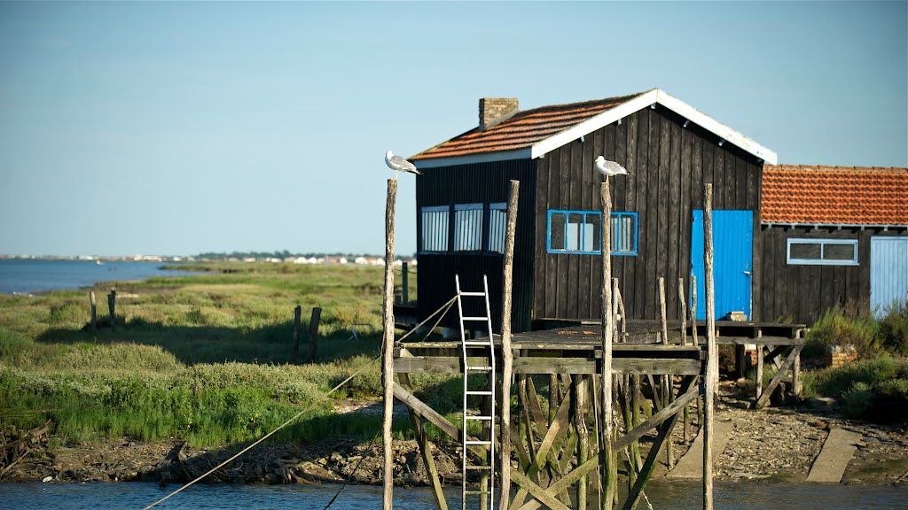 Cabane ostreicole , la grève by markjone