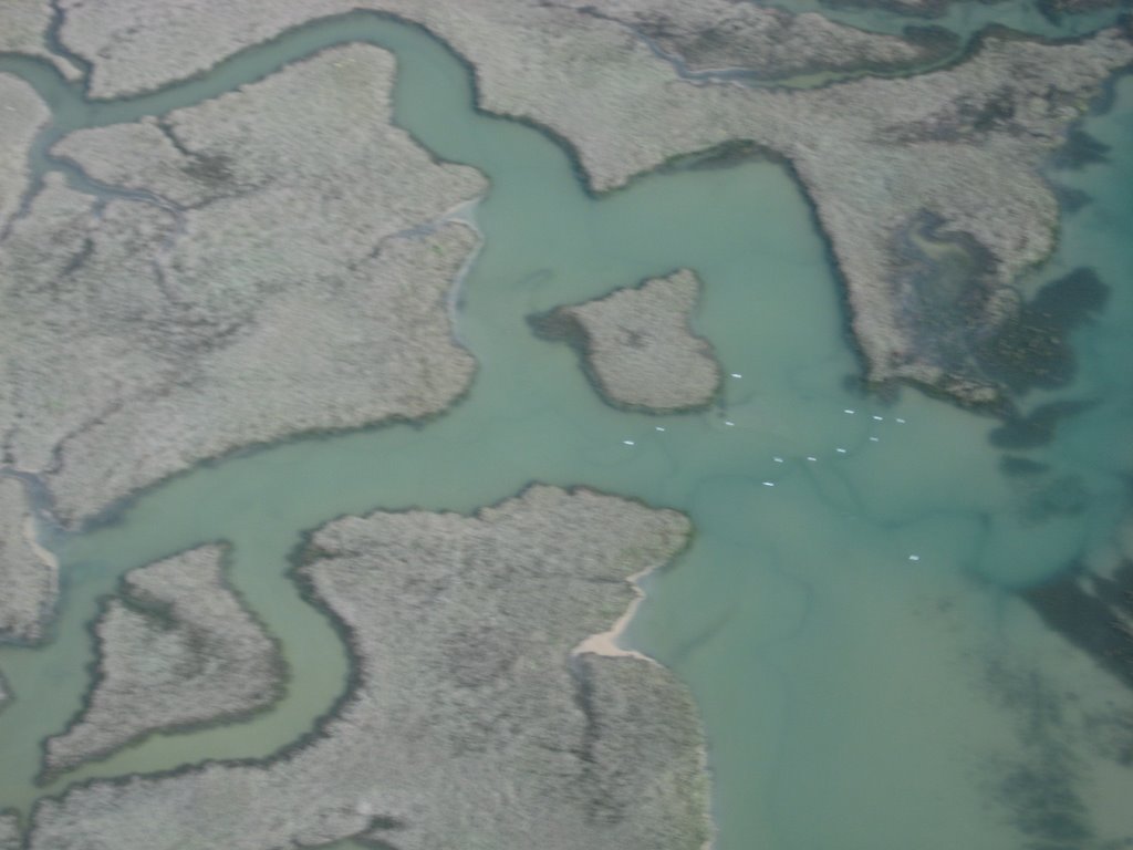 River Adur high tide by MR. SILVER