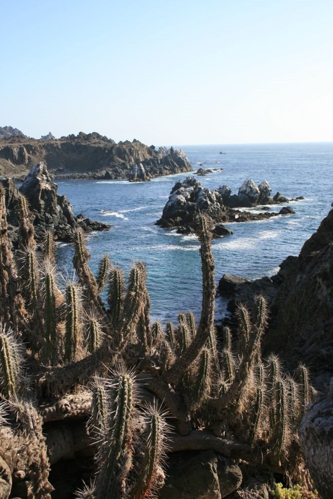 Caleta Panulcillo by emartinez