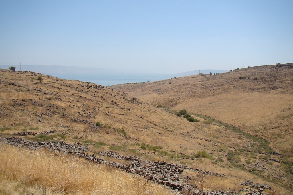 Israel. View from Korazim National Park by Igor Svobodin