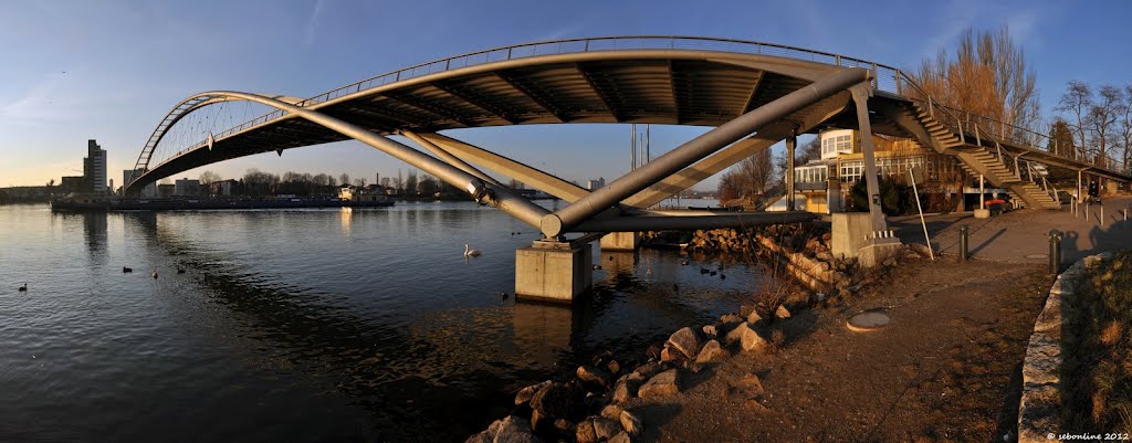 Trockenen Fusses über den Rhein - Feb.2012 by sebonline