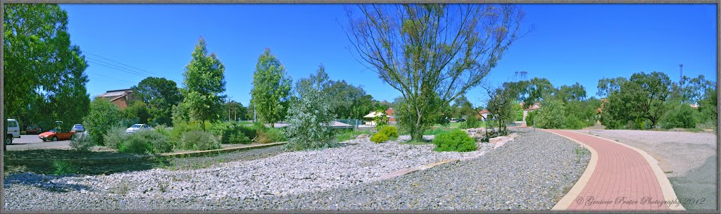 Jessop White Park Whyalla South Australia by Geniene Prater