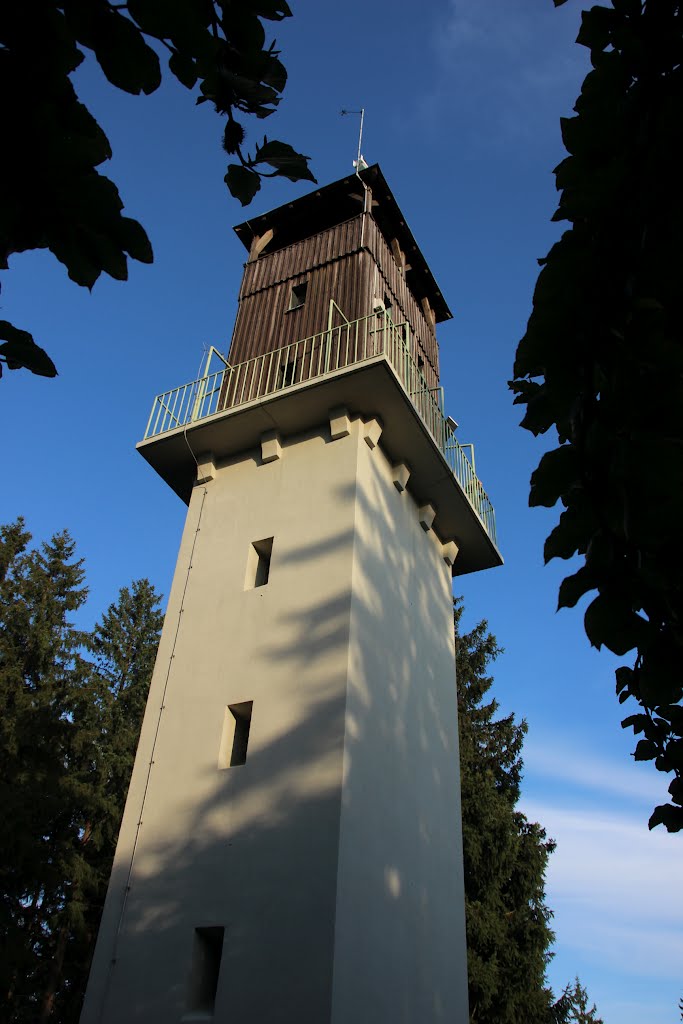 Marktrodach-Mittelberg Aussichtsturm Radspitze by Contessa