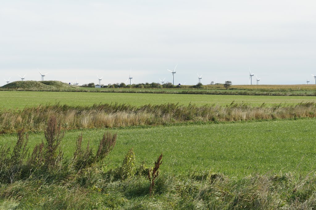 Ved Vadehavet, Ballum, 22. september 2012 by papkassen