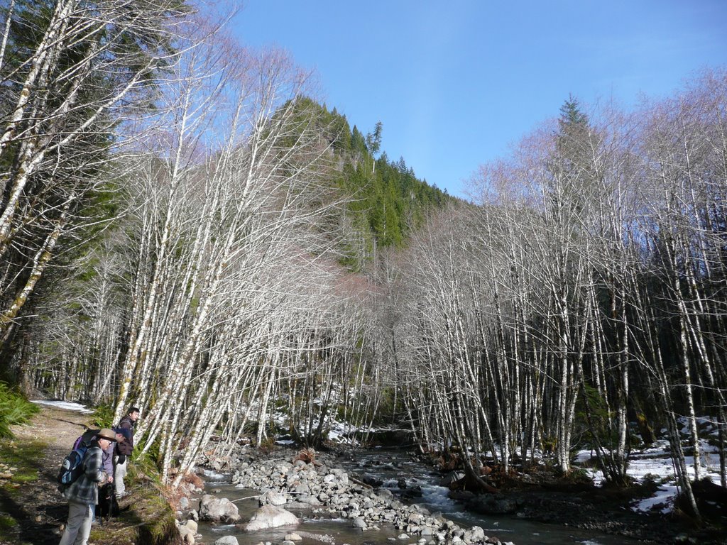 Moutain over elk creek fork by Jon N. Powell