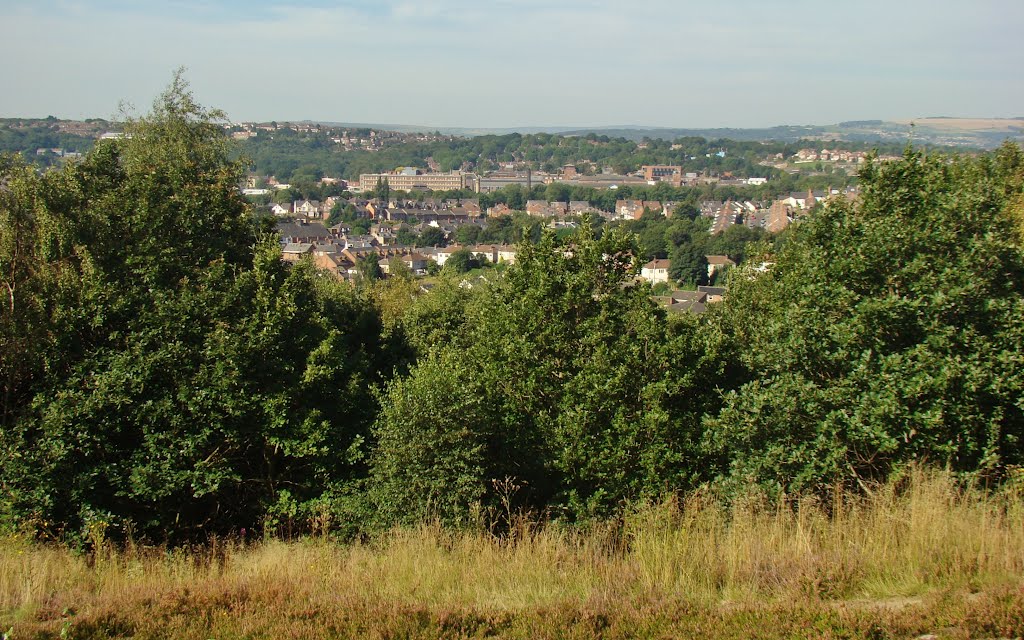 Looking over Wincobank Wood towards Firth Park, Wincobank Hill, Sheffield S9/S5 by sixxsix