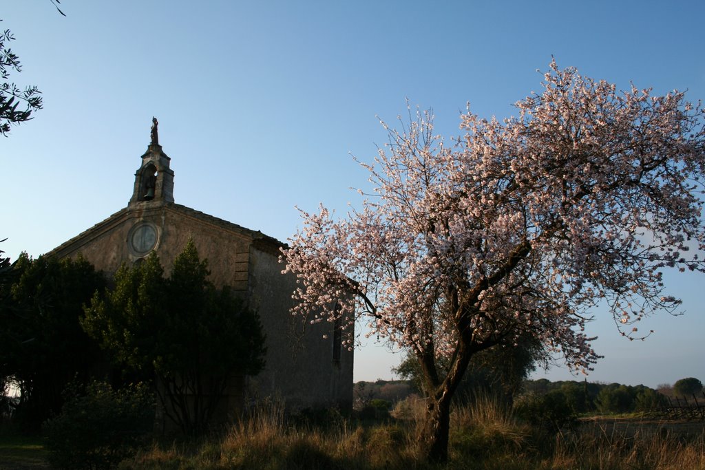 LA CHAPELLE et l'amandier en fleurs by (graniotte) J GRANIER