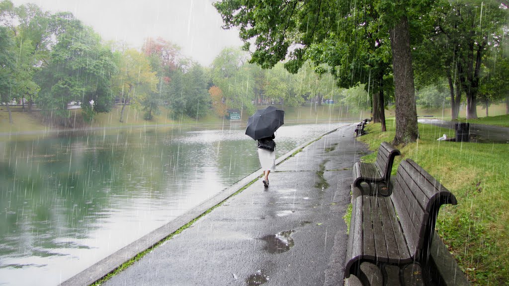 Rainy day in Lafontaine park. (Montréal, Québec, CANADA) by phamhoanghai