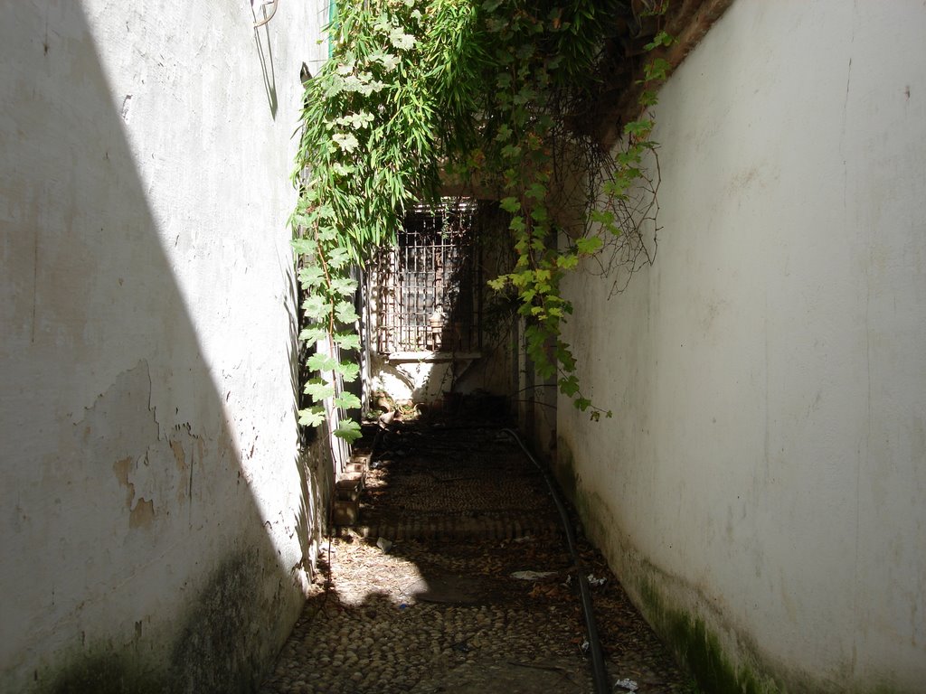 Celleja abandonada.Córdoba.(España) by Rafael Cuadrado Galá…