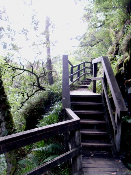 Deils Canyon, Comrie by symonp