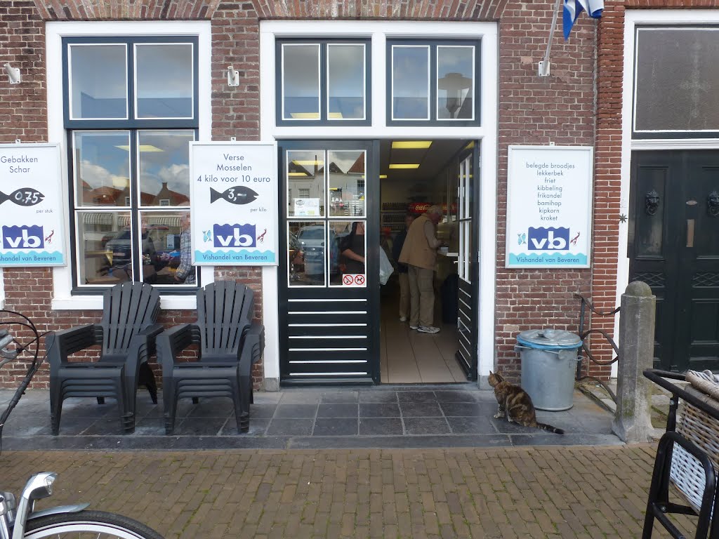 Eine hungrige Katze vor einem Fischrestaurant. Hungry cat in the front of a fish restaurant. by kordar