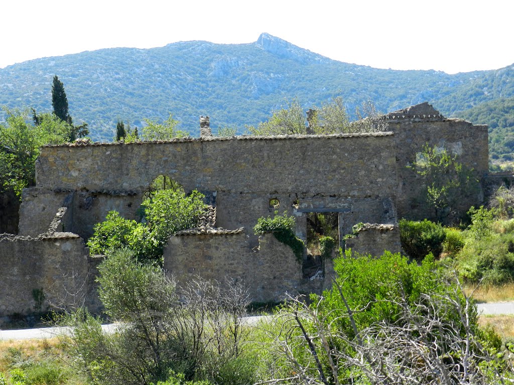 Feuilla en La Garrigue by Ivan Moerman