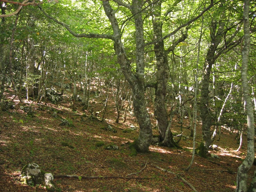 Monte La Varera. Bulnes (Cabrales) by La Casa del Chiflón