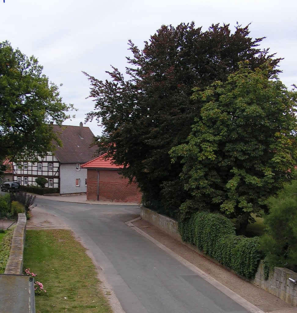 Hallerburg, Blick auf die Hallerstraße by Calenberger