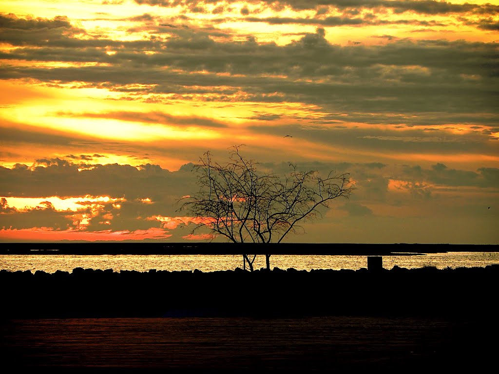 " Finais de Setembro " - September Ends by Francisco Bom