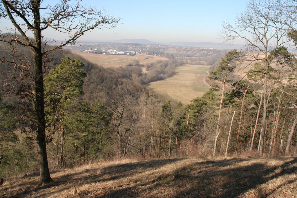 Enzblick Richtung Unterriexingen by Hans-Dieter Fas