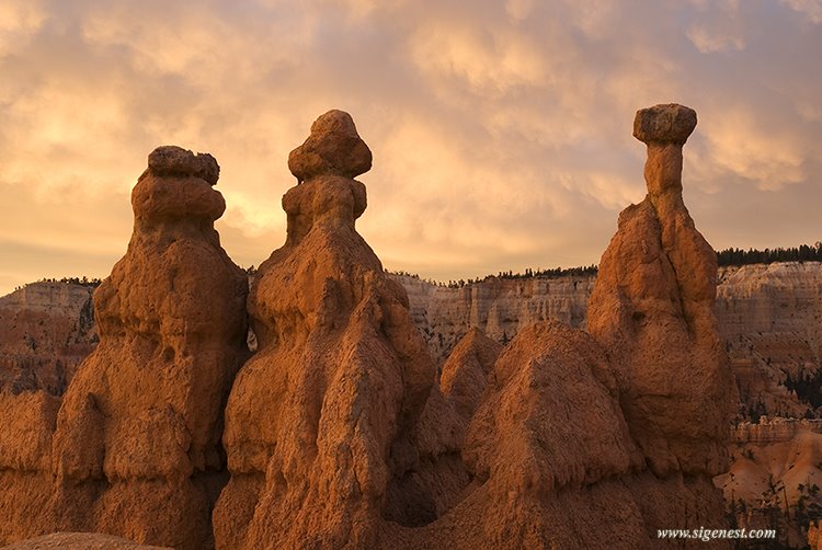 Bryce Canyon Queen's Garden trail by sigenest (Irina)