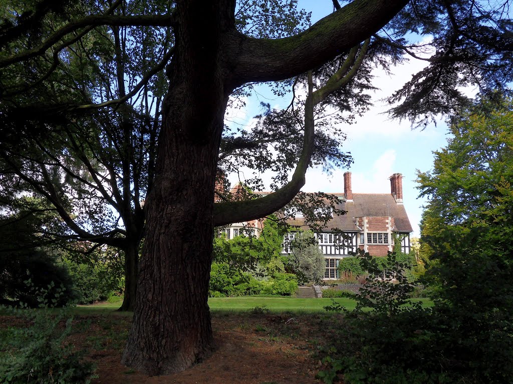 The Himalayan Cedar can be seen in its full splendour at the Botanic Garden. by Bobsky.