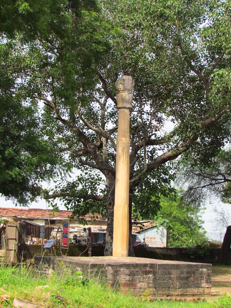 Heliodorus Pillar near Vidisha by naanthaandajk