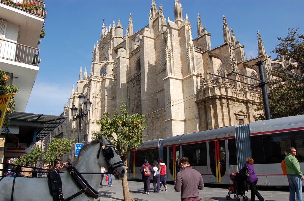 Catedral by © Miguel A. Soto