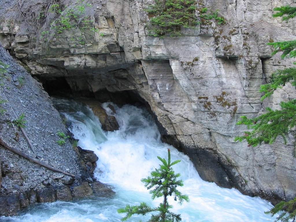 Maligne Canyon : résurgence by France-42