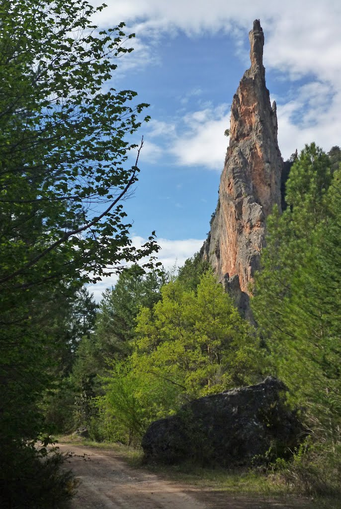 Aguja Cerro del Pie Gordo. by zinaztli