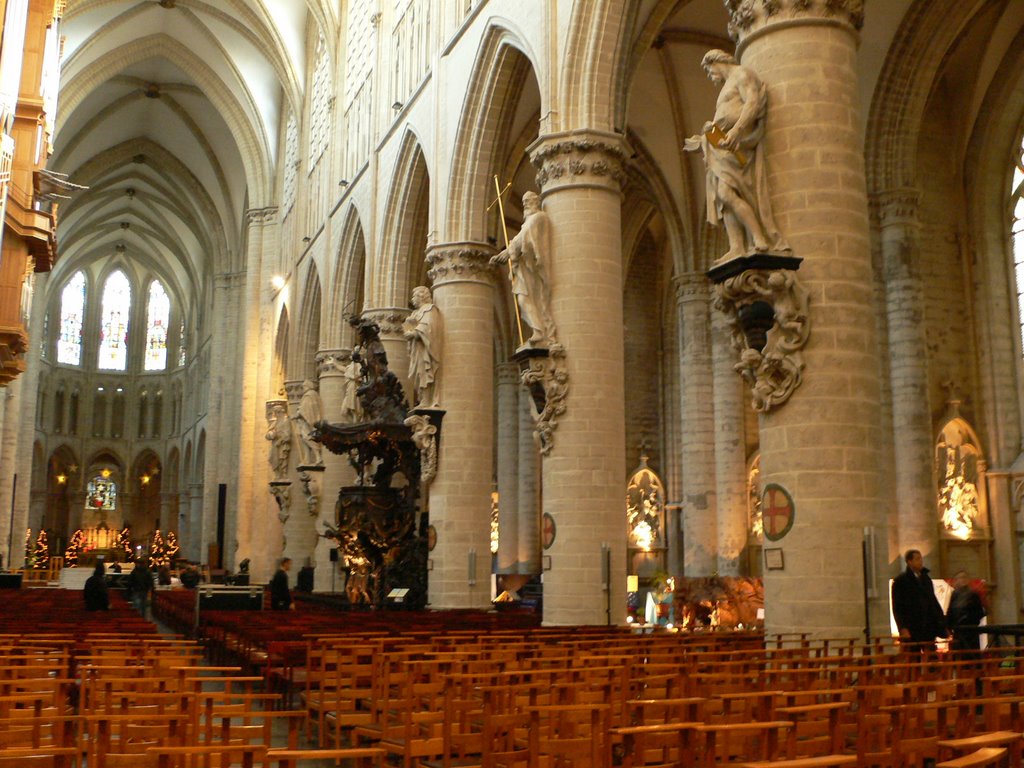 La Catedral de Brussel.les by Jordi Alemany