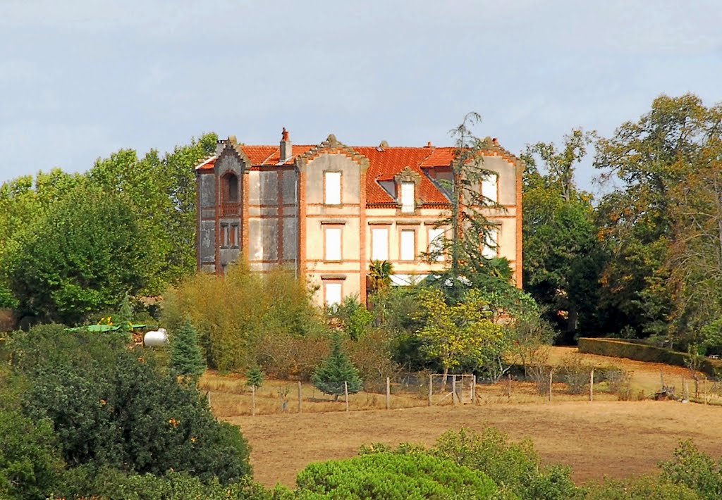 Château de La Lichardié by F@M