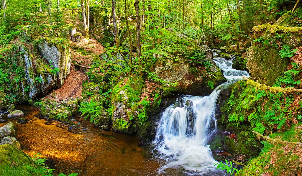 Stream above La Petite Cascade de Tendon by Finn Lyngesen flfoto.dk